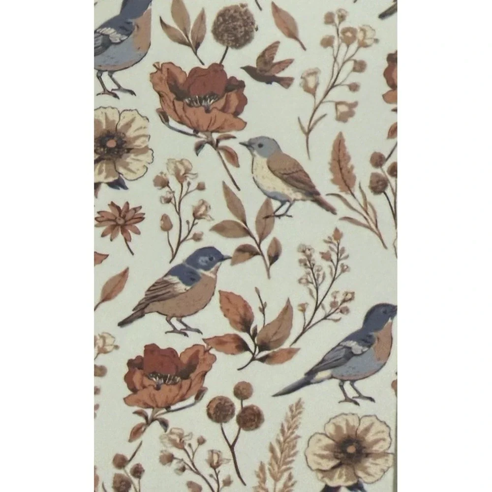 Velvet Finch velvet finch